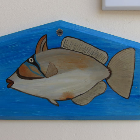 Picasso Fish